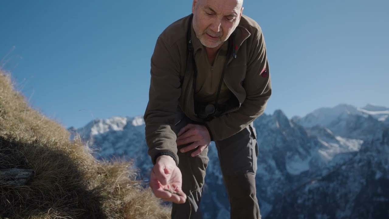 Il Rumore del Silenzio, documentary still